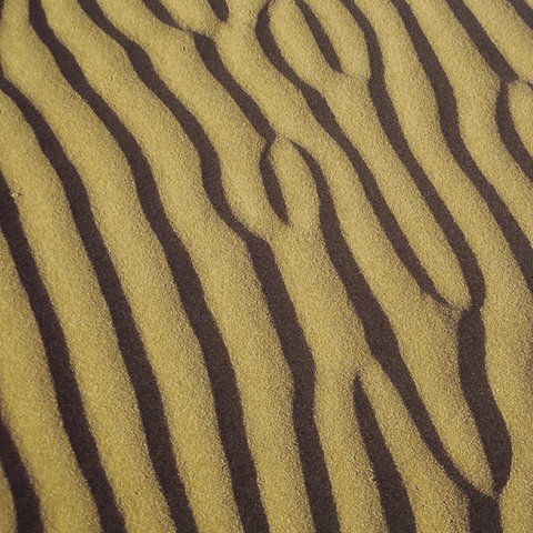 Sandwelle01.jpg