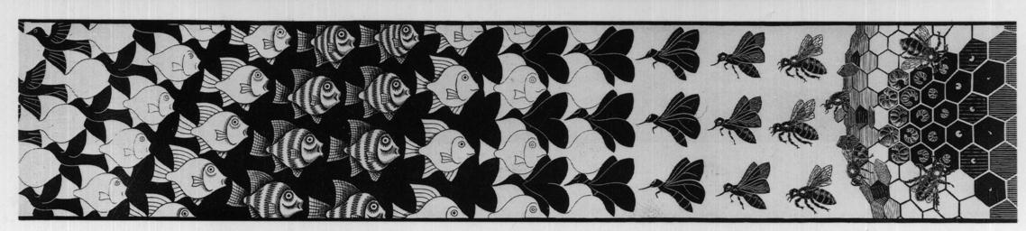 Metamorphosis 3